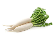 Radish White 